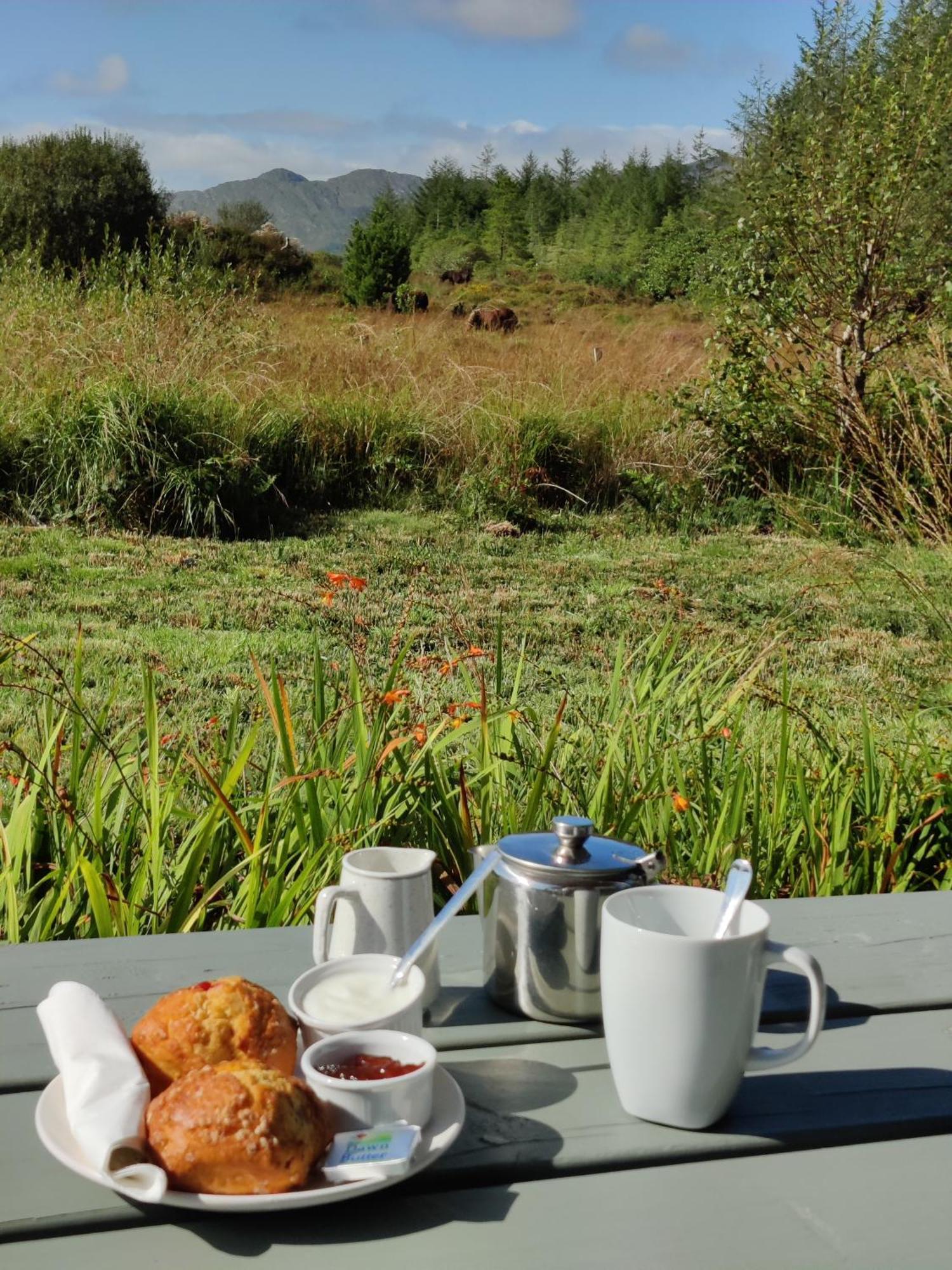 Alaind Lodges Sneem Extérieur photo